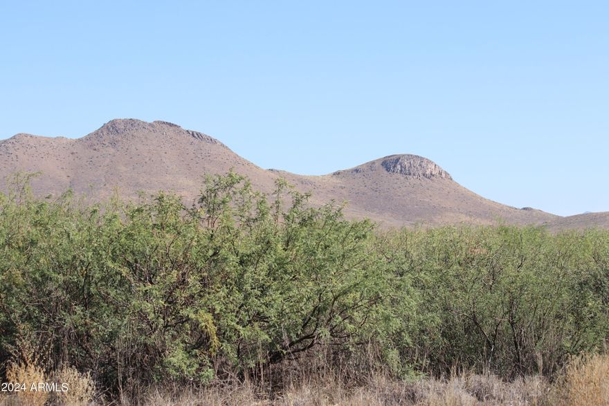 40 mostly flat land with electric to within 50 feet of property line. Comes with a deeded well share , buyer to locate. Deer Haven Ranches subdivision does NOT have an active HOA and is located south of Willcox, about a 25 minute drive, east of Sunsites, about a 10 minute drive. Nearest major city is Tucson, about 75 minute drive. Willcox has a hospital and shopping. Elevation is approximately 4300 feet which makes the climate mild. Cochise County is in the south east corner of AZ, This property sits in a valley between two major mountain ranges. The area is mostly farming and ranching country. The area is part of an AVA (American Viticulture Area). Enjoy hiking, biking, camping and hunting. Great area to raise children.