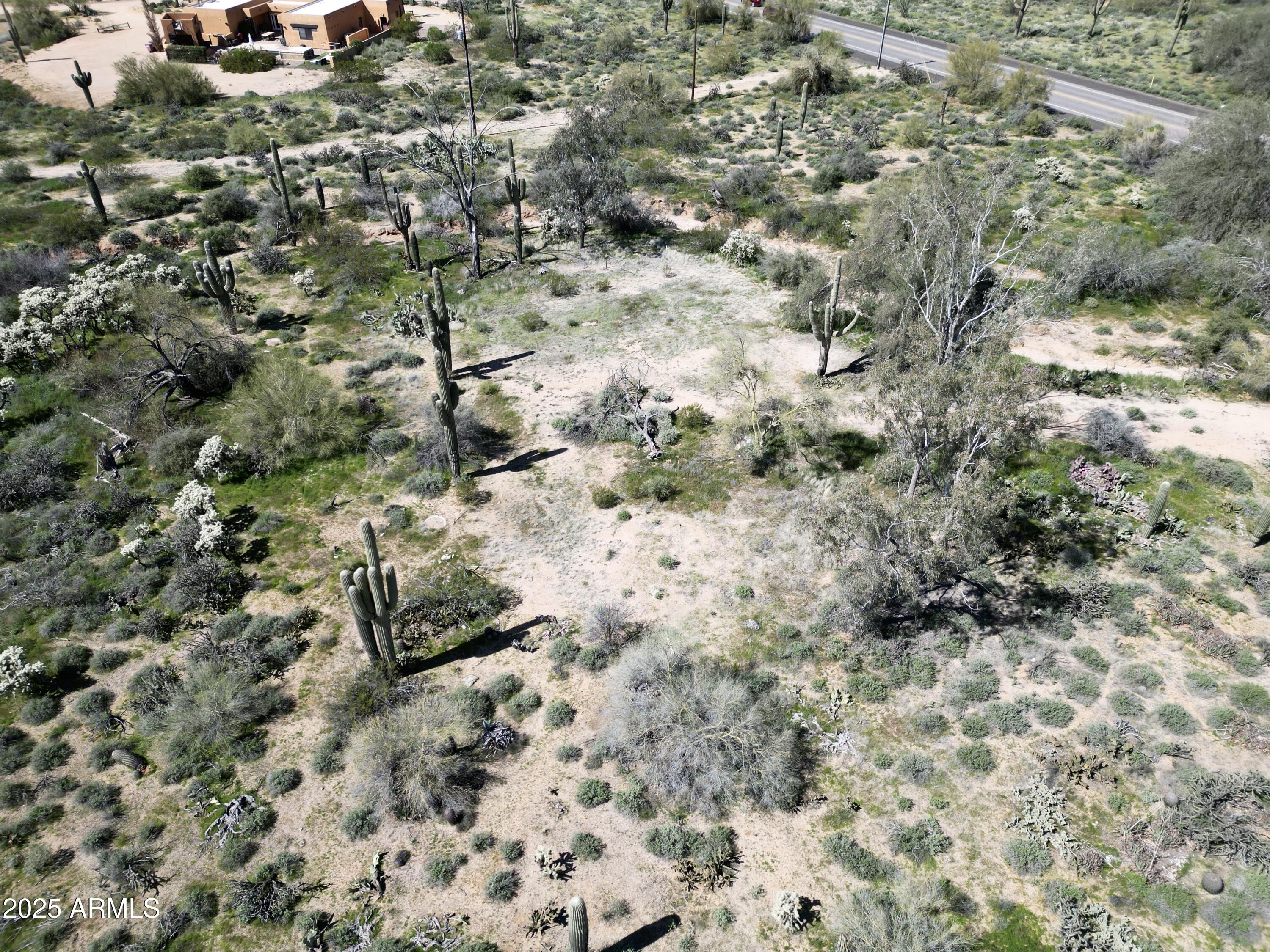 7739 E Dynamite Boulevard -