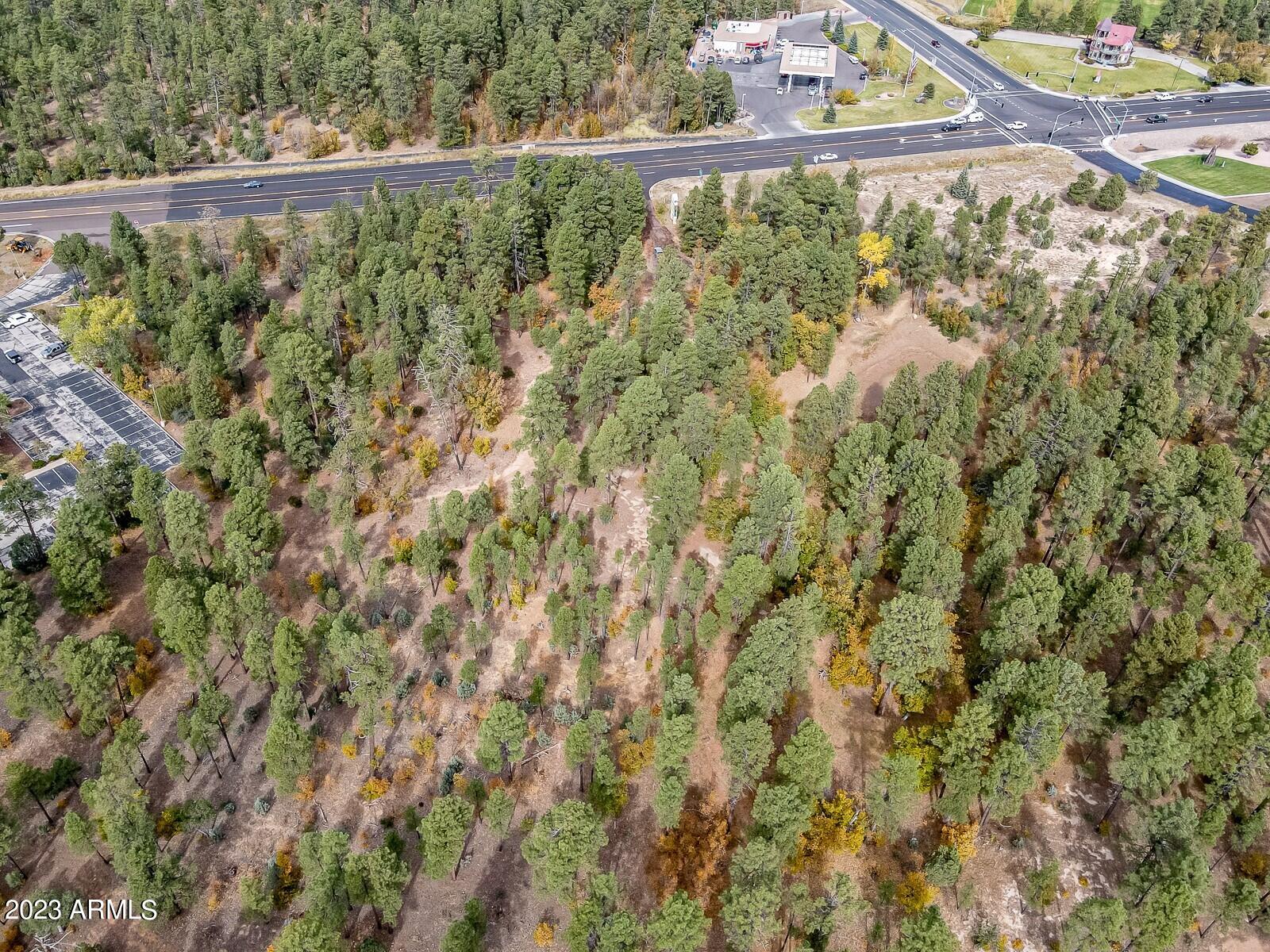 0 W Deuce of Clubs -- 6