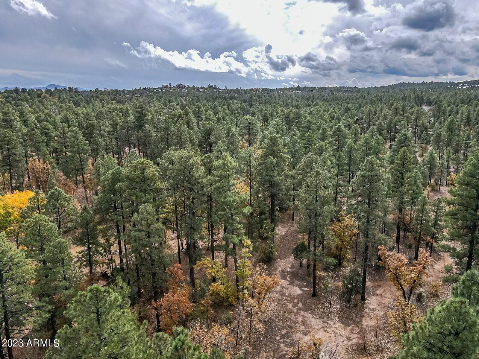 0 W Deuce of Clubs -- 6