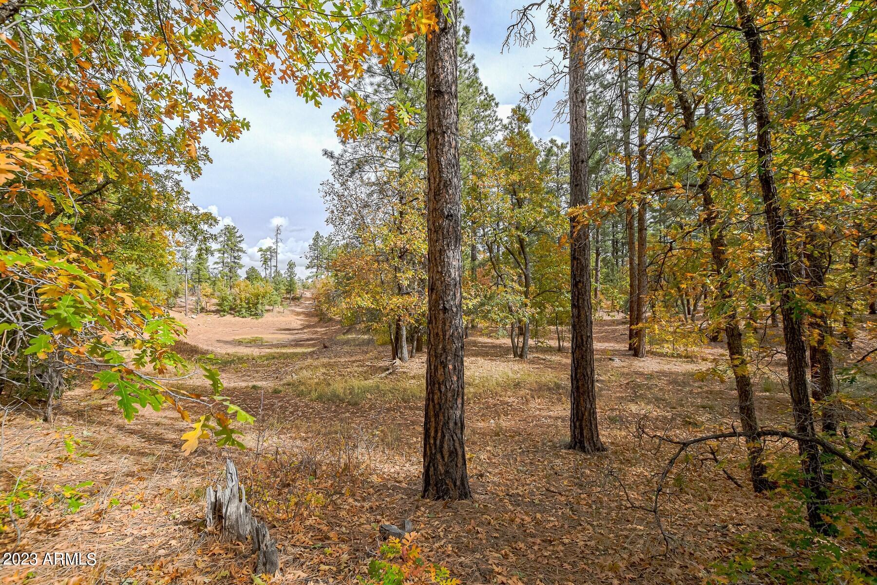 0 W Deuce of Clubs -- 6