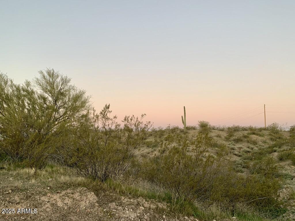 XX N Japanese Garden Court J