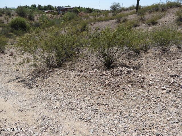 XX N Japanese Garden Court J