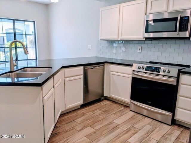 3150 E BEARDSLEY Road 1045