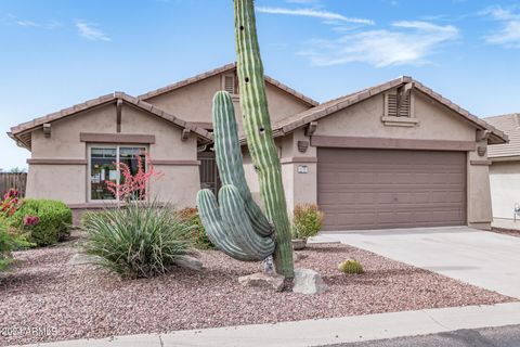 A home in Gold Canyon