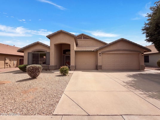 16735 W MCKINLEY ST, GOODYEAR, AZ 85338 - Image e2e7d35bcf86495c8d12d6265532f074/4022474292