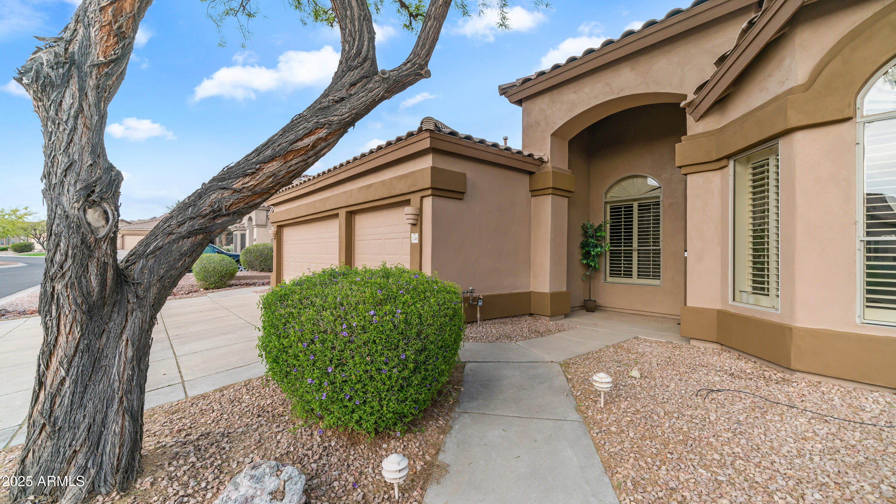 3749 N LADERA Circle