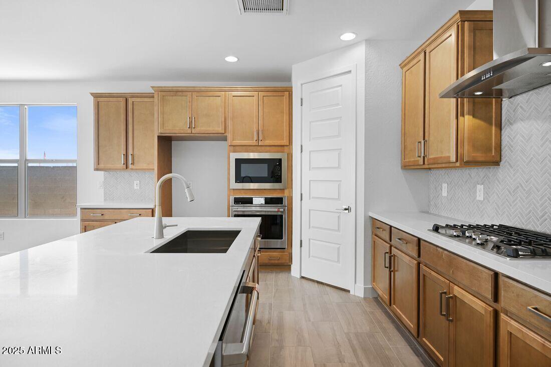 17153 W SWEET IRON Pass