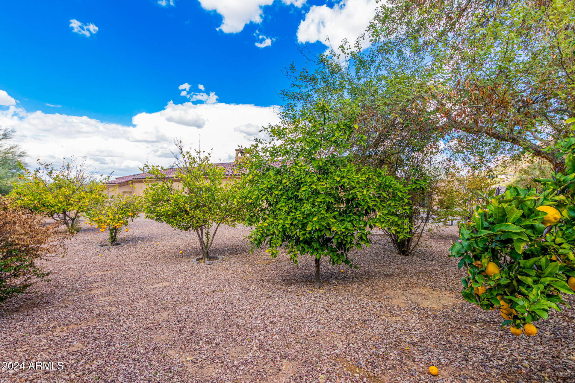 5339 E ROYAL PALM Road