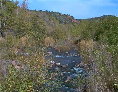 5 Acres or More - Land