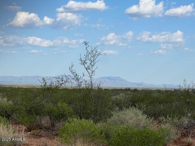 THE SAN IGNACIO BABOCOMARI LAND GRANT - Land