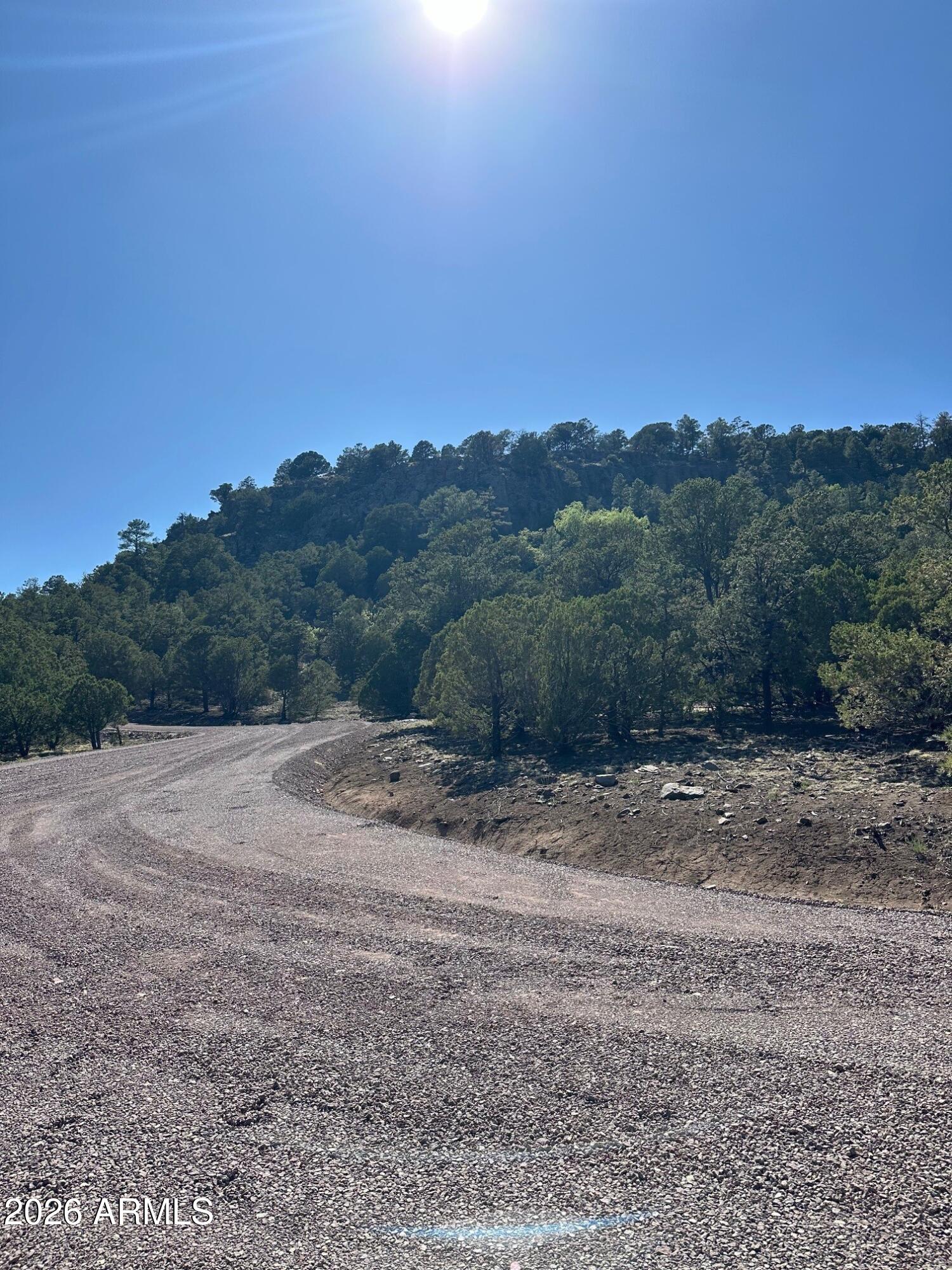 n2331 N n2331 -- 10268001