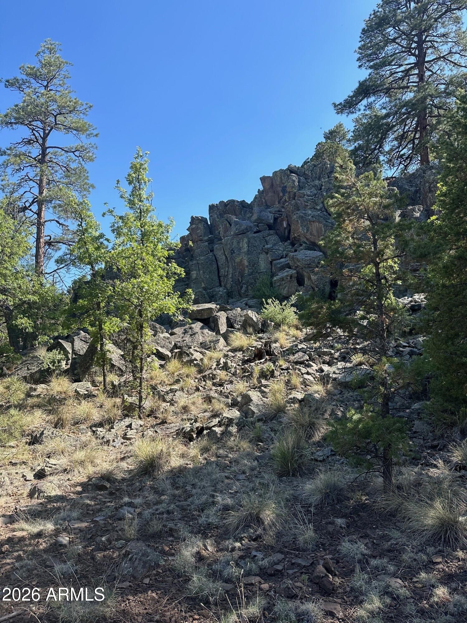 n2331 N n2331 -- 10268001