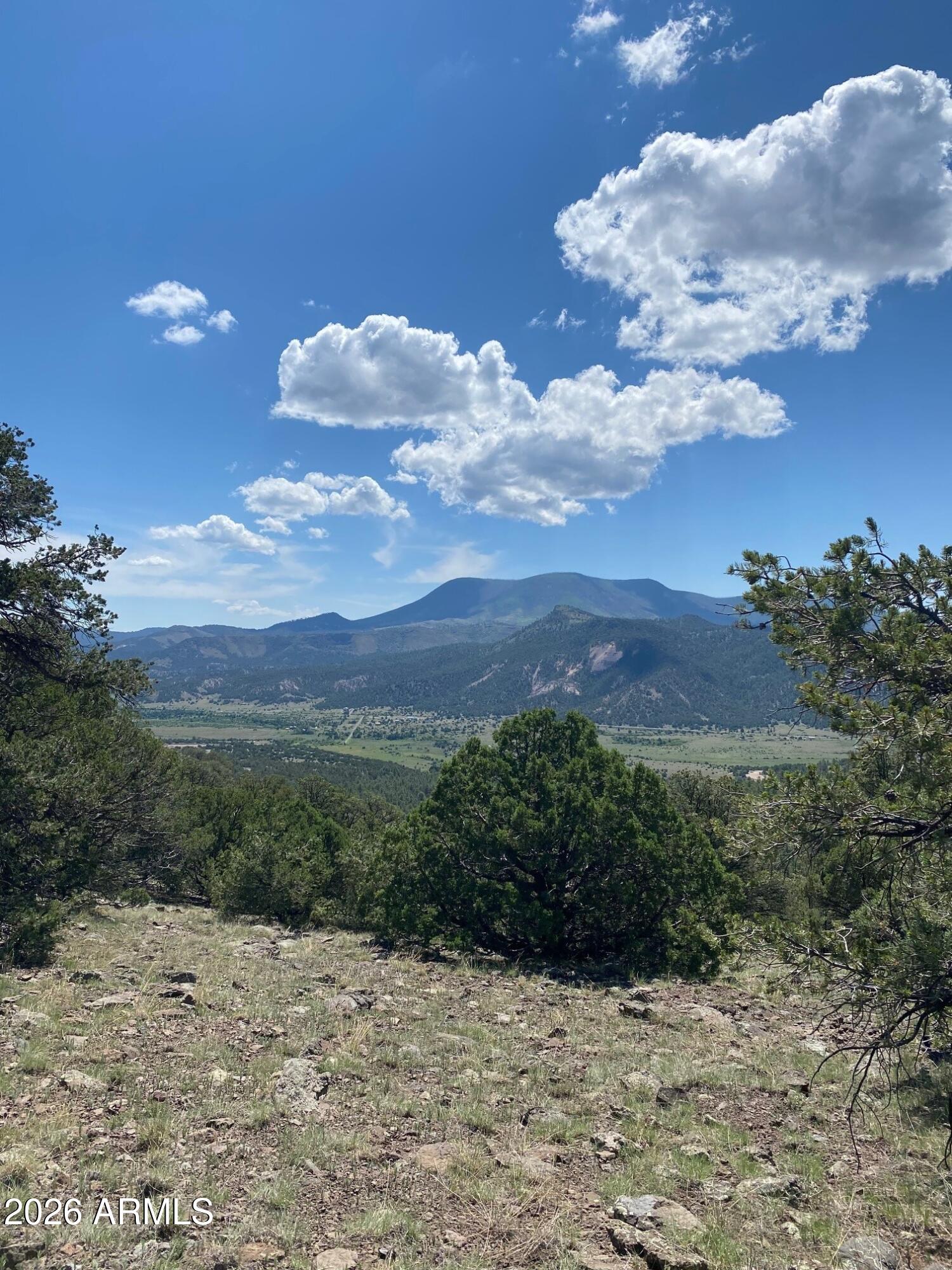 n2331 N n2331 -- 10268001