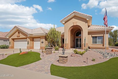14110 W ROBERTSON Drive Sun City West AZ 85375
