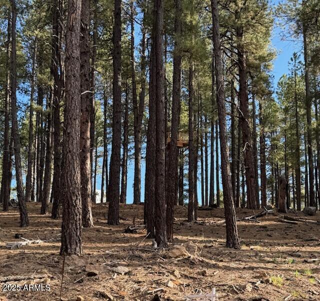 9285 COYOTE PASS -- -