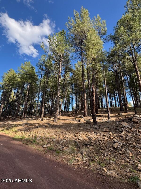 9285 COYOTE PASS -- -