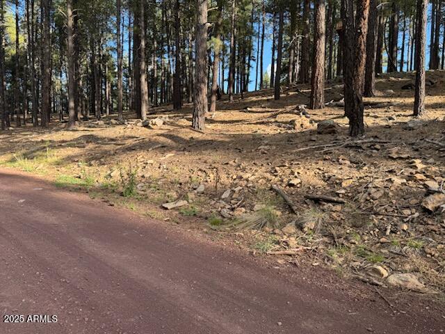 9285 COYOTE PASS -- -