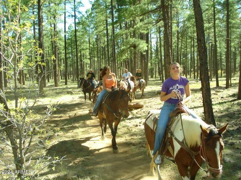 A home in Pinetop