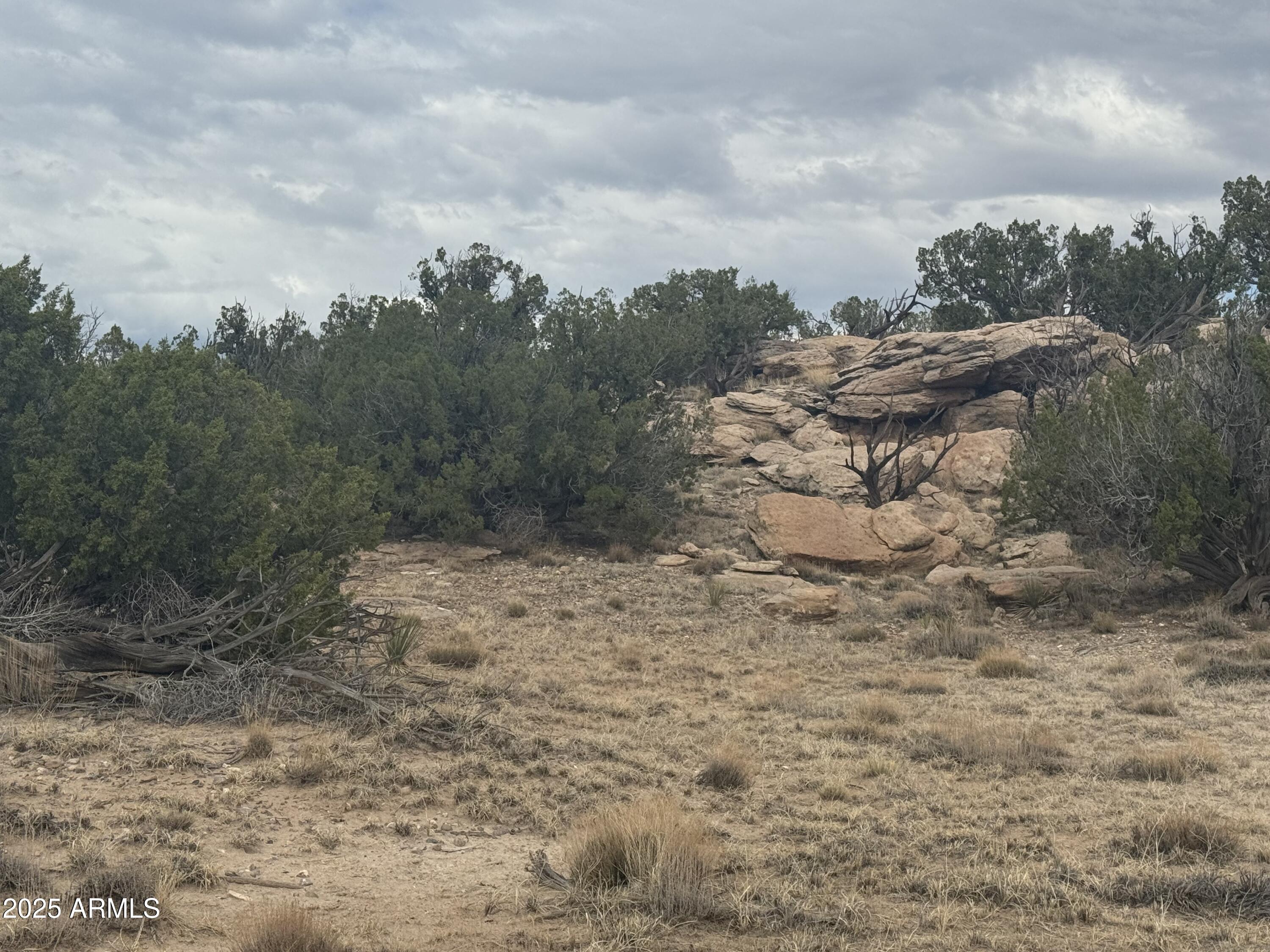 Lot 1096 Woodland Valley Ranch -- 1096
