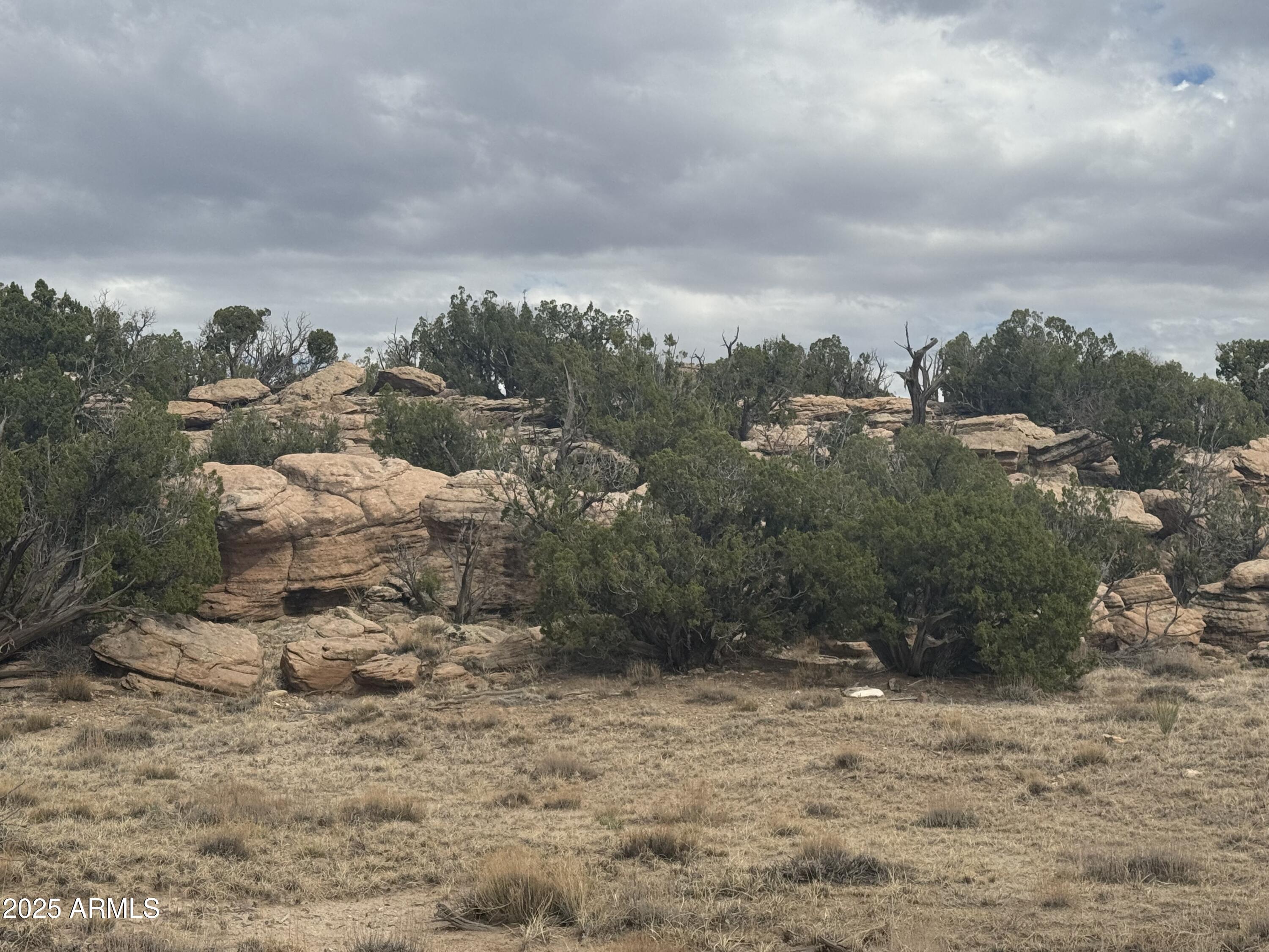 Lot 1096 Woodland Valley Ranch -- 1096