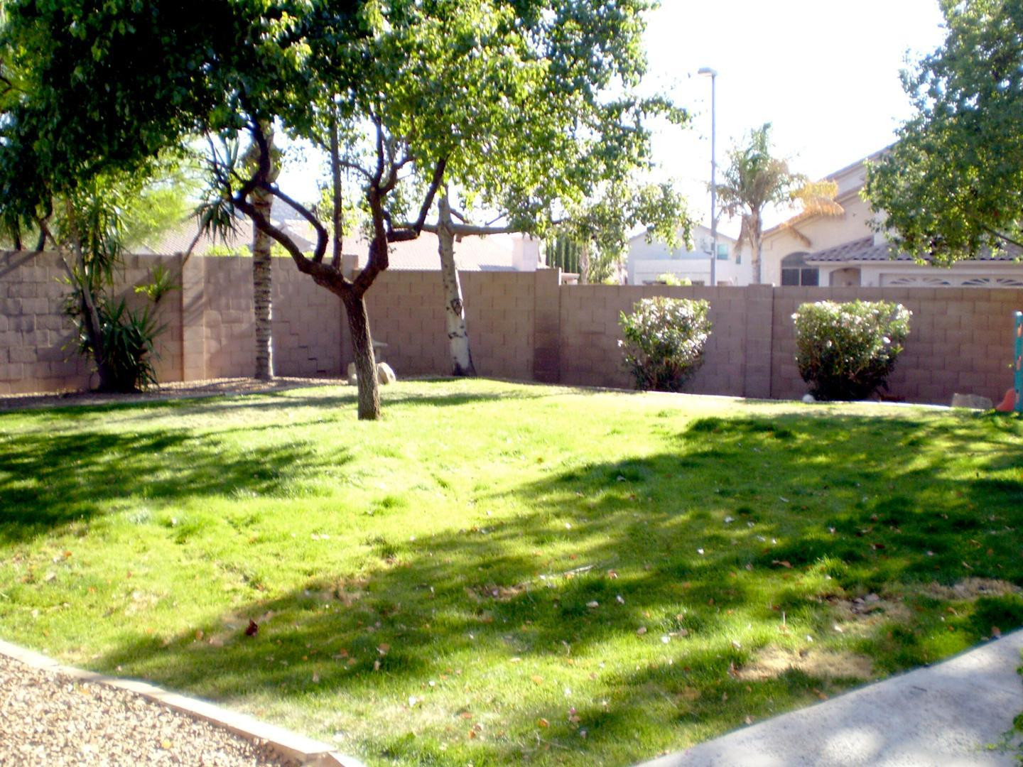 2429 E Patrick Lane