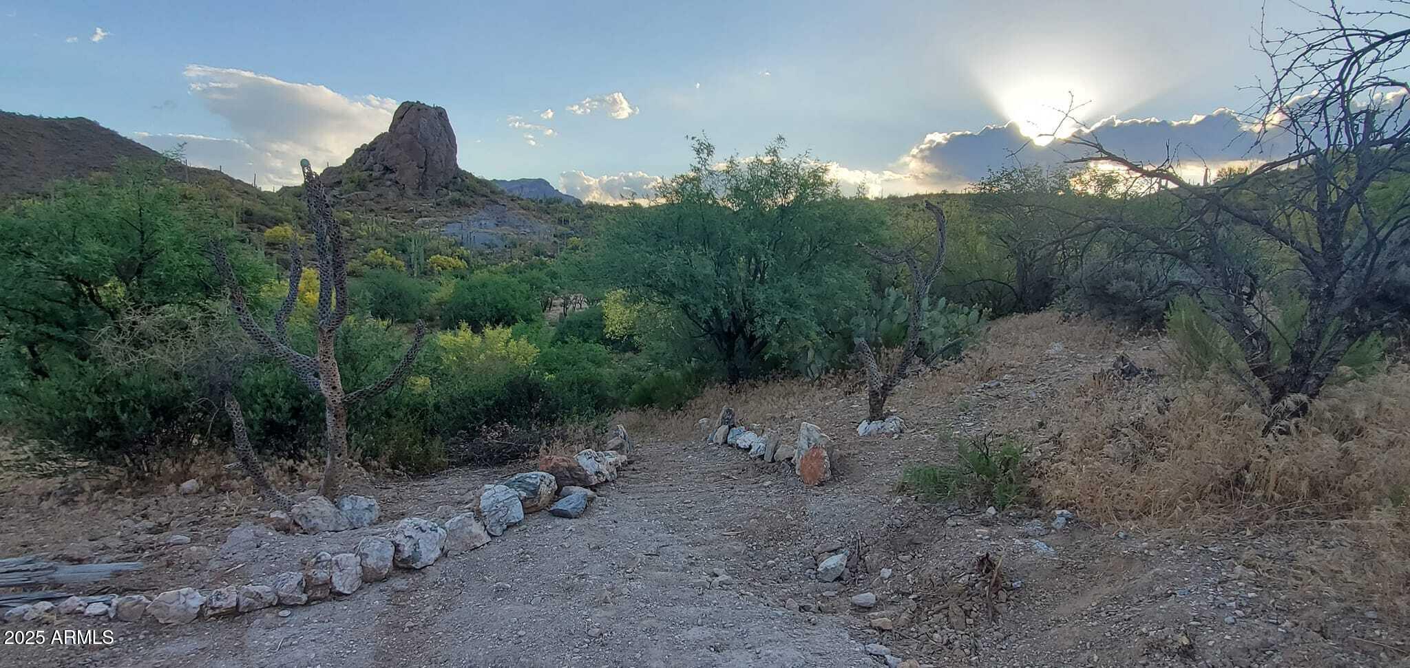 00 N Elephant Butte Road 6