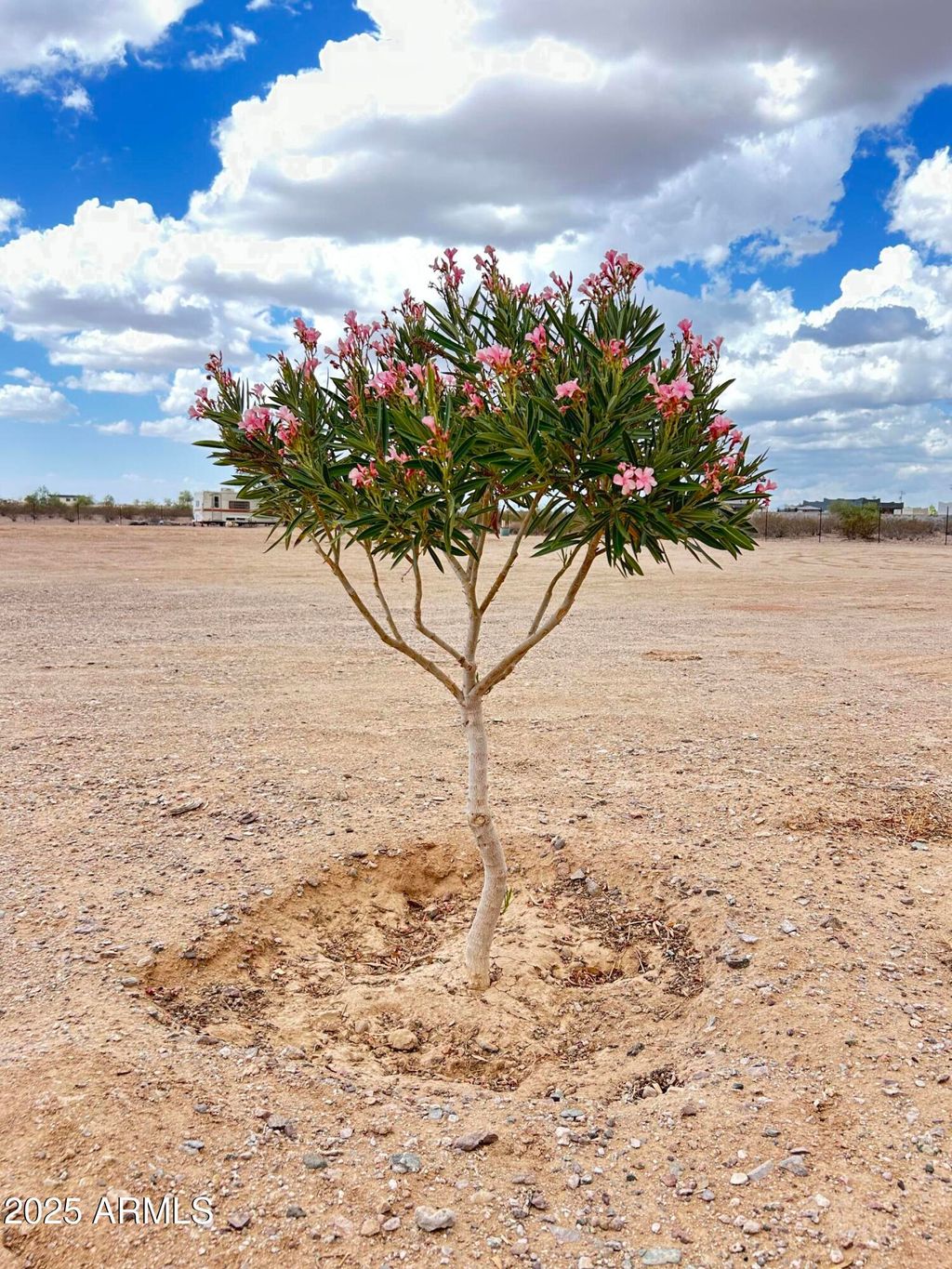 Photo of 000 S 355th Avenue #1, Tonopah, AZ 85354 (MLS # 6925631)