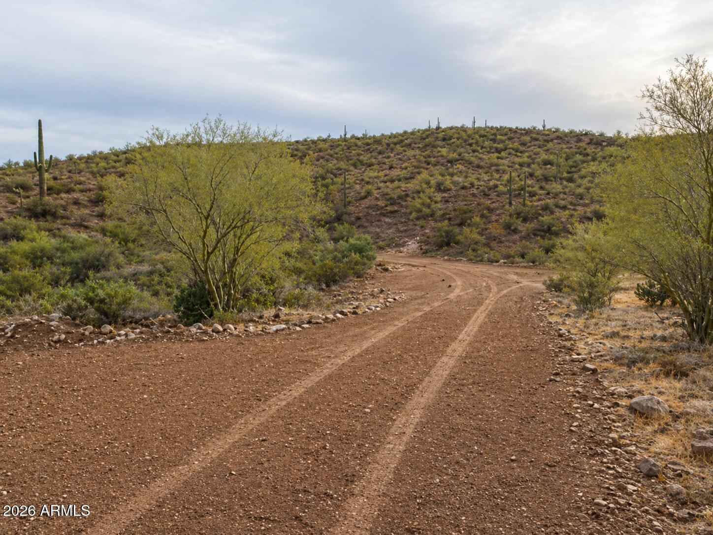 Pleasant Country Ranches - Land