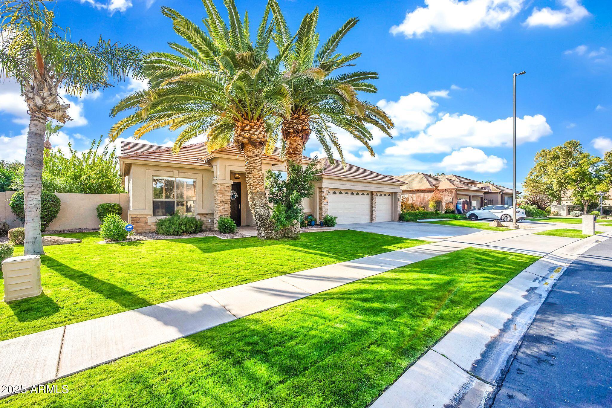 1551 W BLUE RIDGE Way