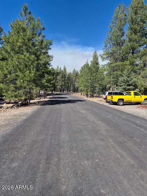 17075 Grizzly Ridge -- N