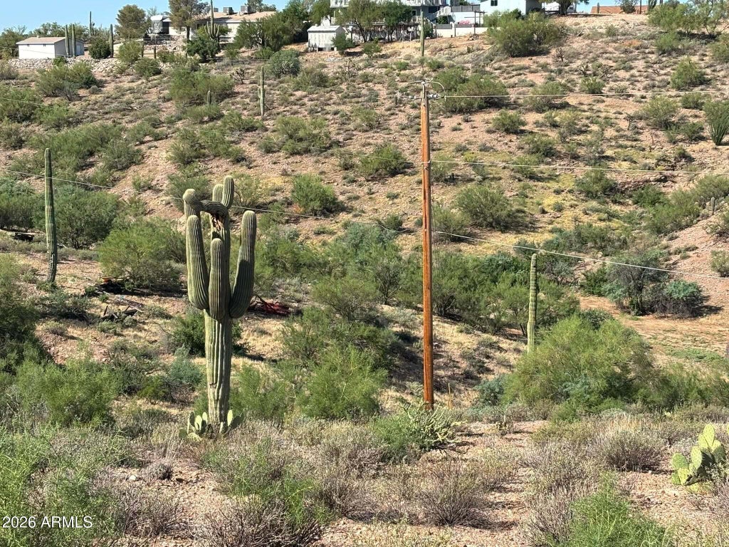 Photo of 209 N Elizabeth Street #103, Gold Canyon, AZ 85118 (MLS # 7064691)
