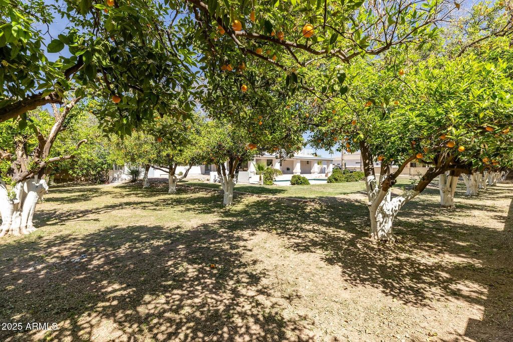 listing image 63