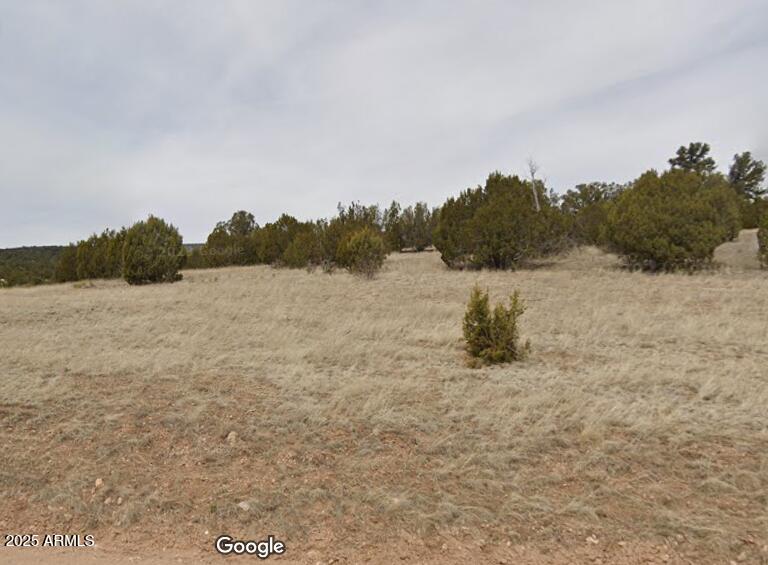 000 Via De Oro -- 1332