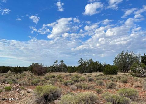 000 Via De Oro -- 1332 Seligman AZ 86337