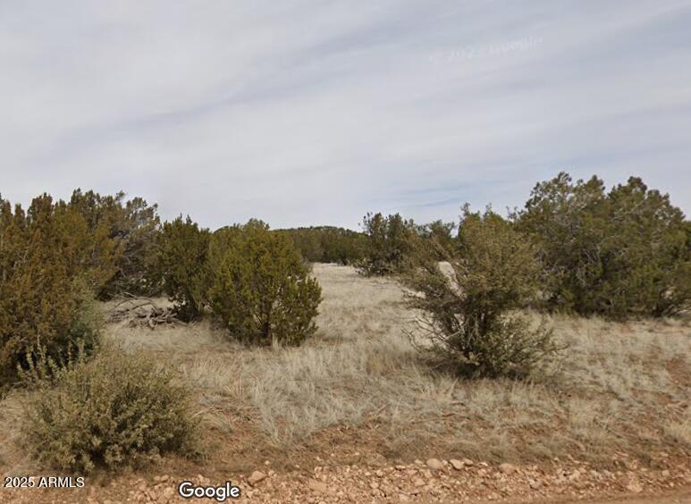 000 Via De Oro -- 1332