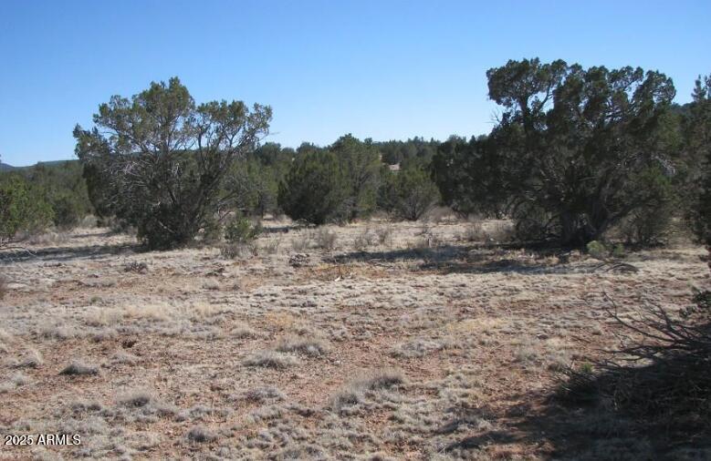 000 Via De Oro -- 1332