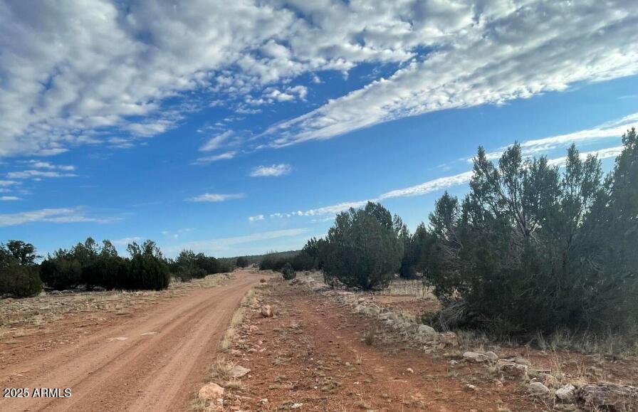 000 Via De Oro -- 1332