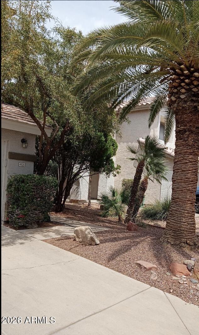 4026 E MEADOW Drive