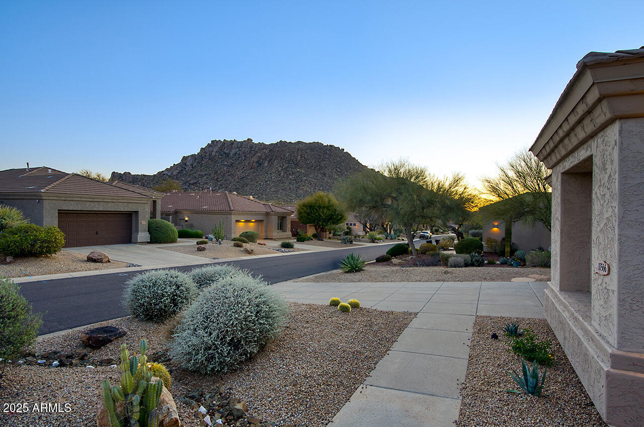 11566 E CHRISTMAS CHOLLA Drive