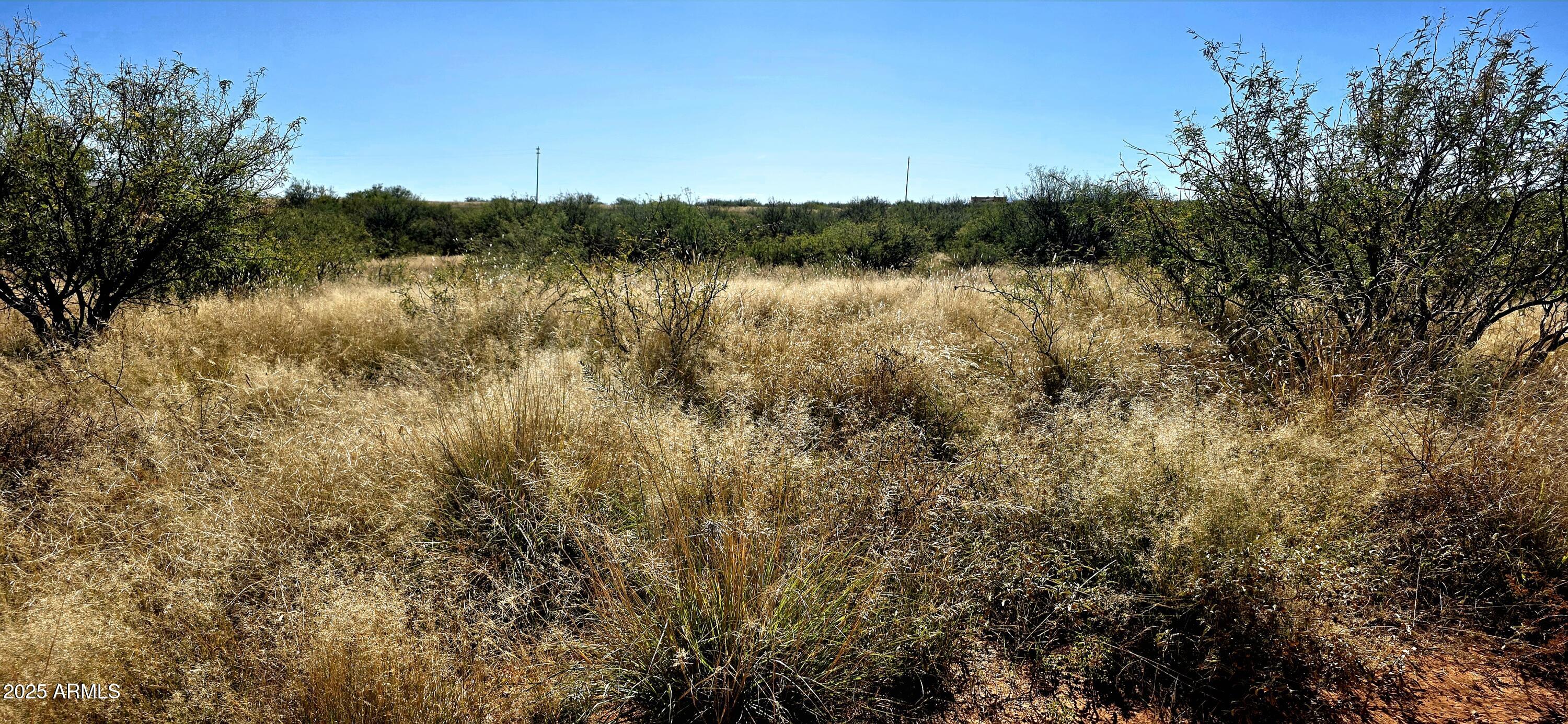 PALOMINAS RANCHES UNIT 1 - Land