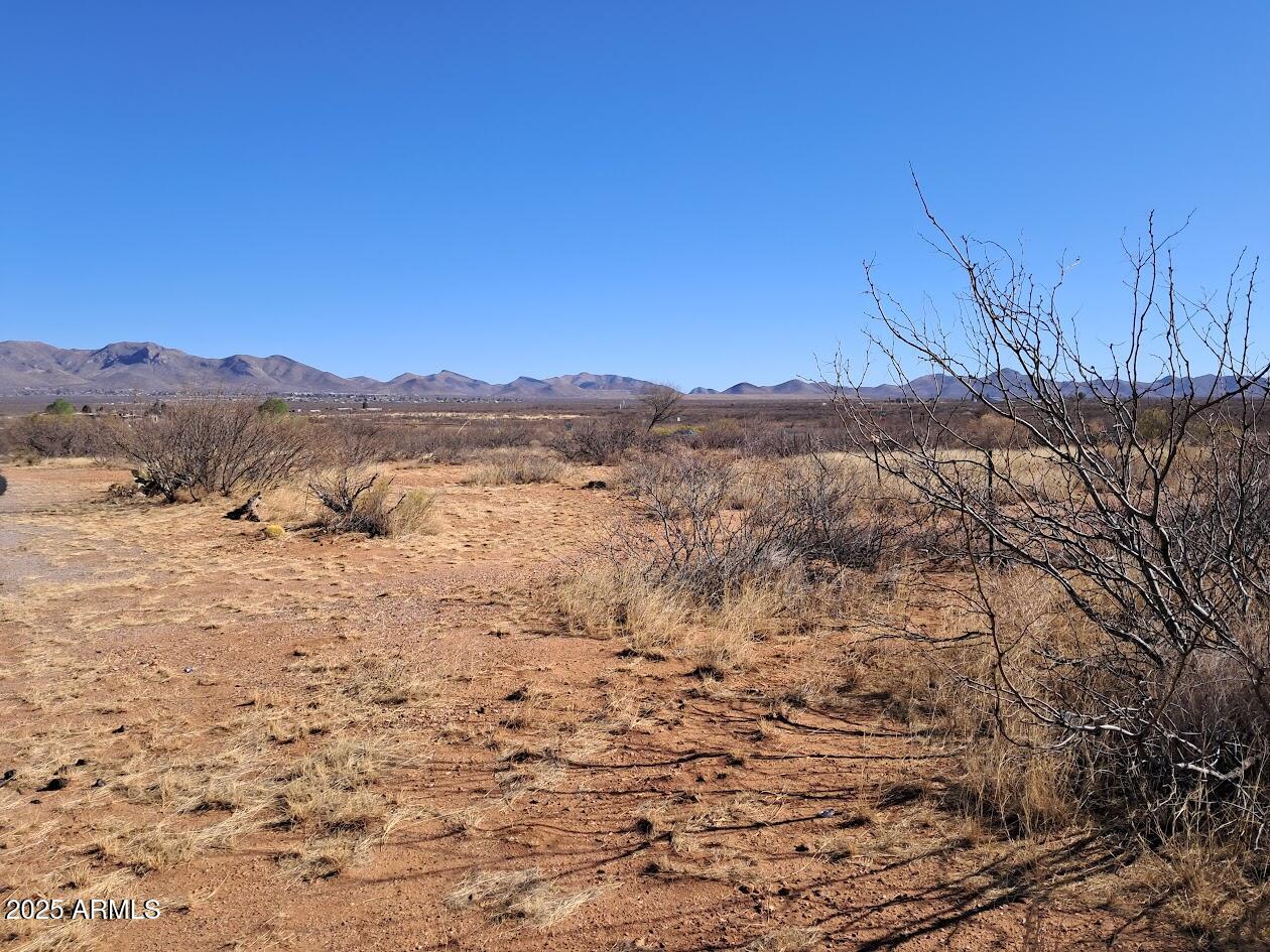 TBD W Newell Street 10257332