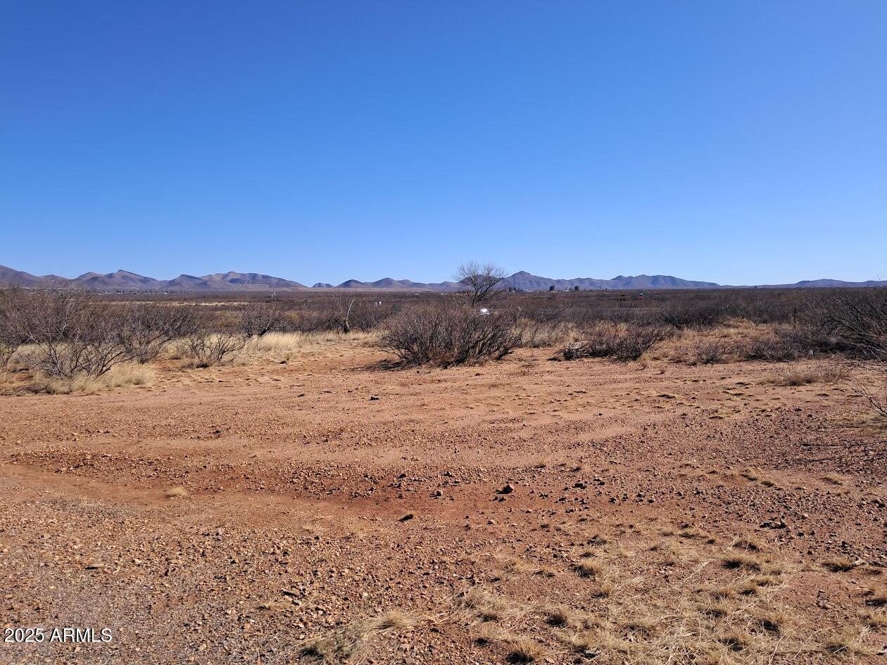 TBD W Newell Street 10257332