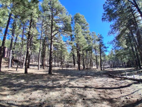 13696 E KINGS DEER Road - Parks AZ 86018