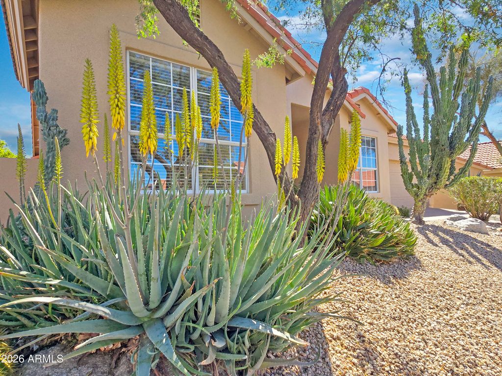 Photo of 23831 N 74th Street, Scottsdale, AZ 85255 (MLS # 7001084)