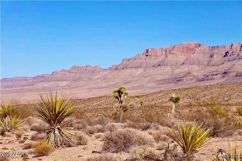258 Mohave Lane 258 Meadview AZ 86444