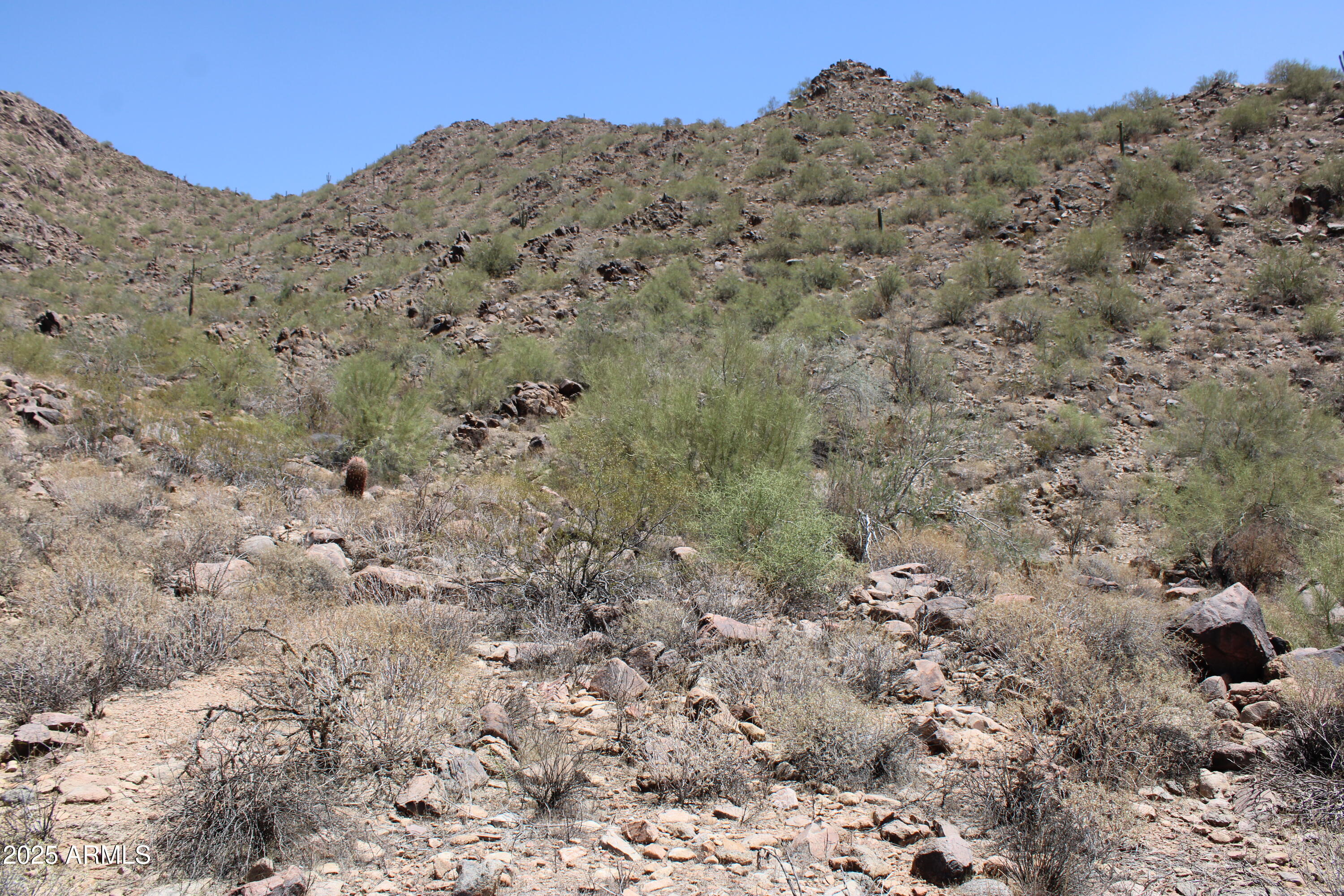 13990 E COYOTE Road 11