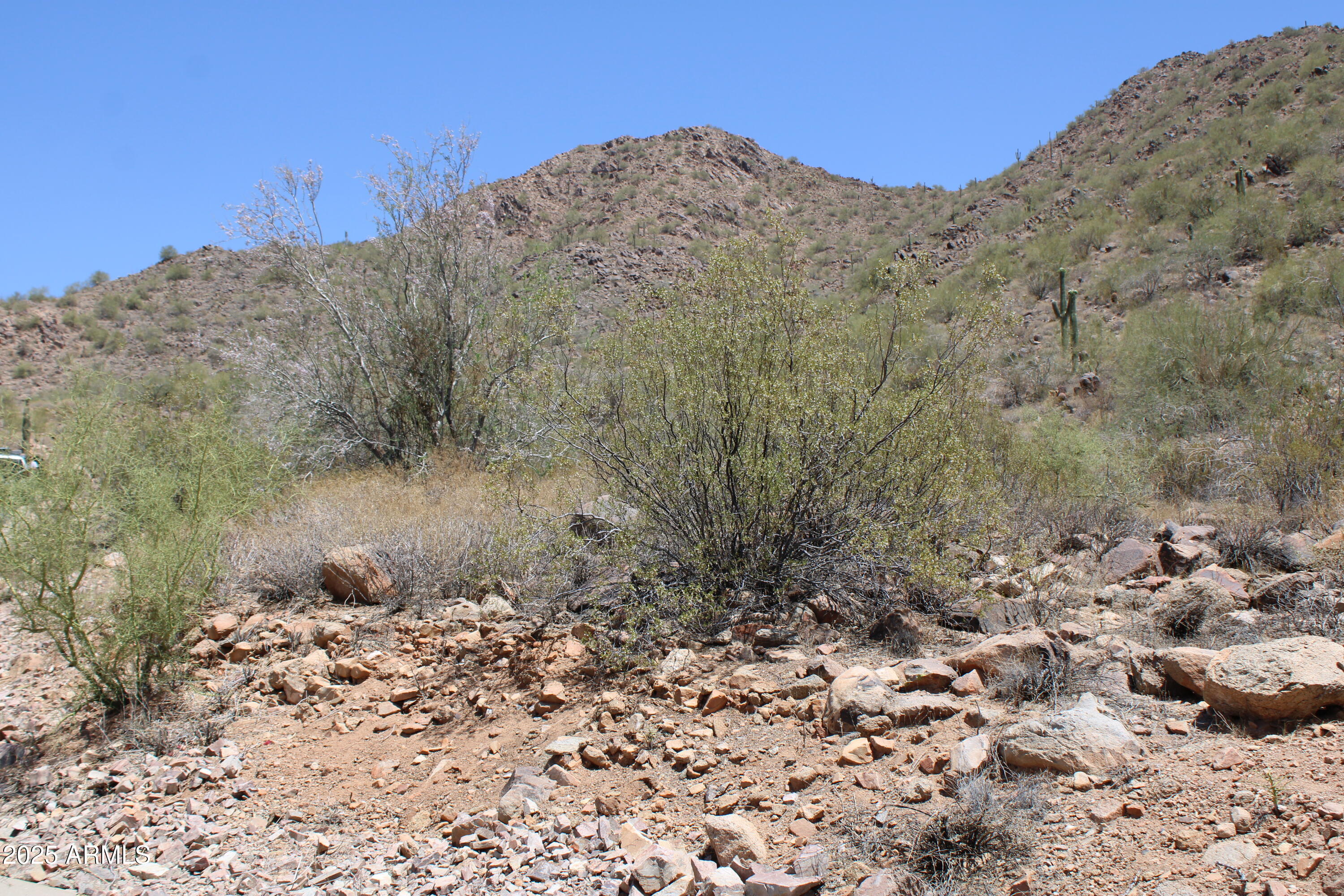 13990 E COYOTE Road 11