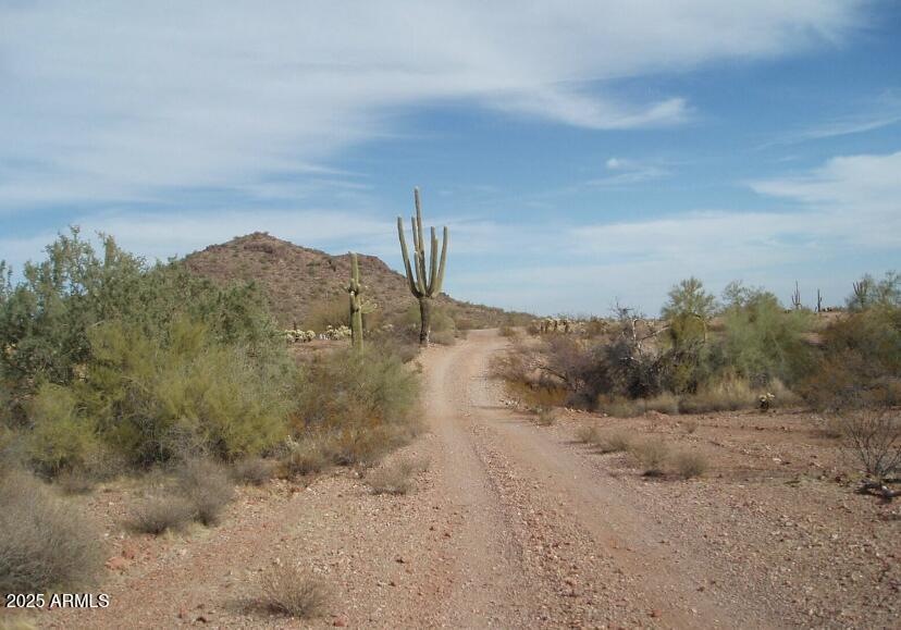 29980 W Restin Road 146