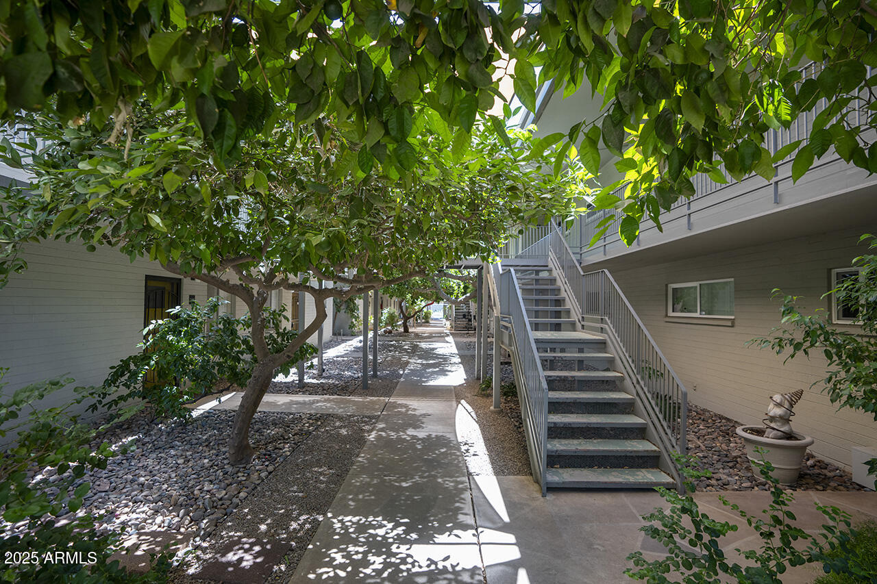 Phoenix, Arizona 85013, United States, 2 Bedrooms Bedrooms, ,2 BathroomsBathrooms,Residential,Active,152416